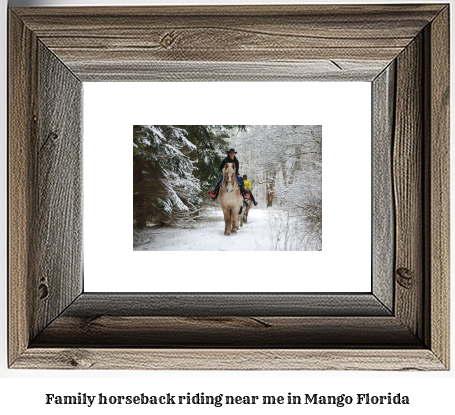 family horseback riding near me in Mango, Florida